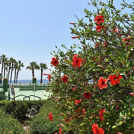 Appartement Fantastic Studio - Beachfront *