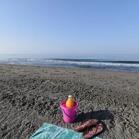 Fantastic - Beachfront Apartament