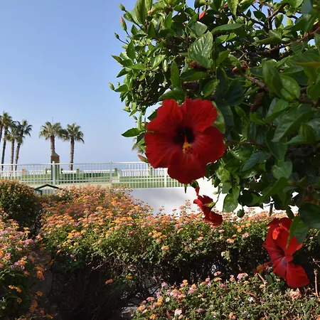 Fantastic - Beachfront *