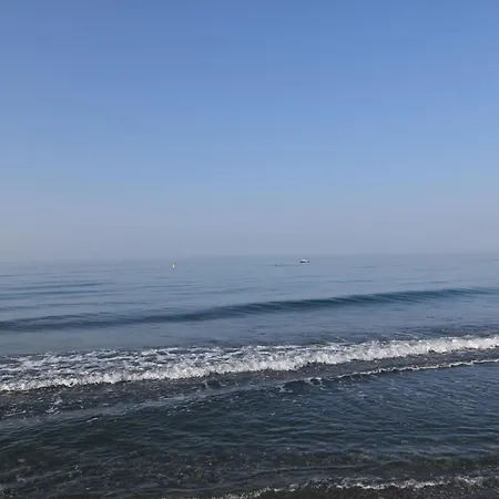 Fantastic - Beachfront