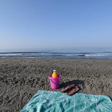 Fantastic - Beachfront Daire